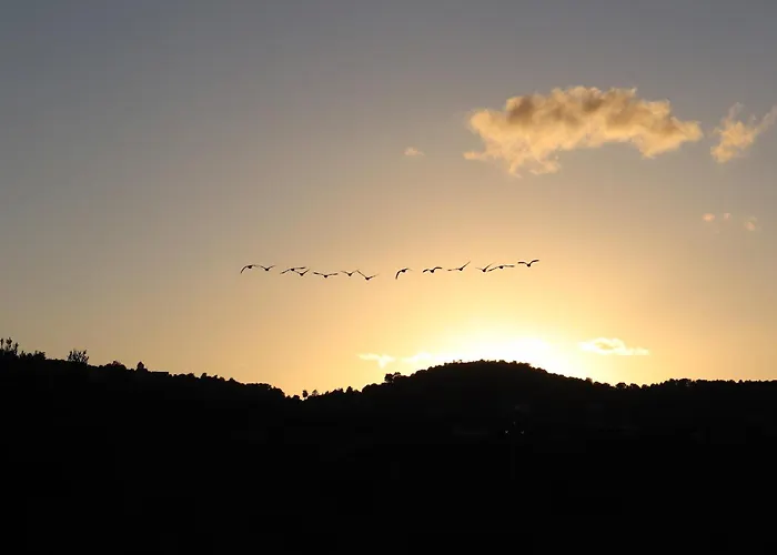 L'antico Trullo - Masseria Chiancarella